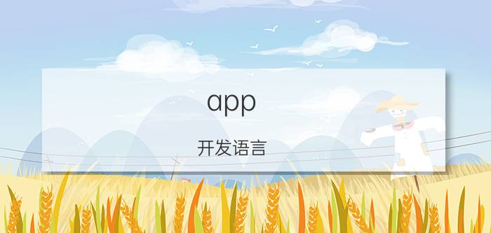 app 开发语言 目前编写一款简单的手机应用APP一般用什么编程语言？